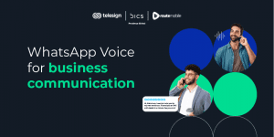 WhatsApp Business calling API: A detailed guide for businesses